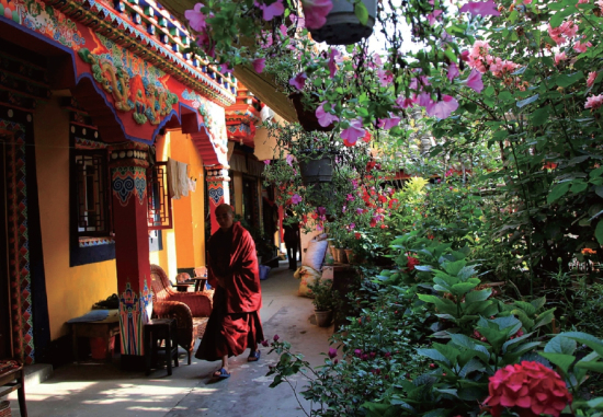 鲜花让这个城市更加美丽 鲜花让这个城市更加美丽